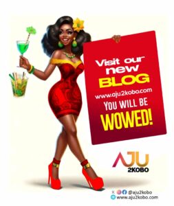 Introducing Aju2kobo